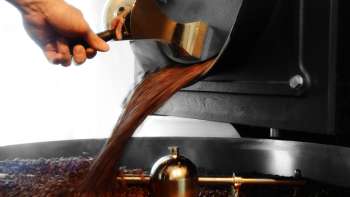 Frisch geröstete Kaffeebohnen fliessen aus einer Röstmaschine in einen Auffangbehälter