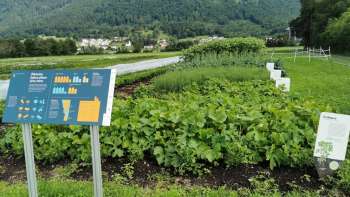 Blick auf den Weltacker Mauren mit einer blauen Info-Tafel im Vordergrund