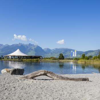Naturnaher Badebereich mit Sand, Treibholz und Aussicht auf die Liechtensteiner Alpen in der Freizeitanlage Grossabünt.