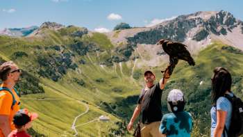 Familie beobachtet Falkner mit Greifvogel