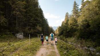 Eine Familie wandert auf einem breiten Naturweg durch einen Waldabschnitt in Richtung der Alp Valüna