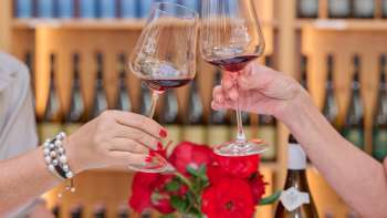 Degustation in der Hofkellerei des Fürsten von Liechtenstein