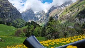 Alphorn inmitten blühender Löwenzahnwiese im Alpental von Liechtenstein mit Blick auf schneebedeckte Berggipfel – traditionelles Musikerlebnis in den Alpen.