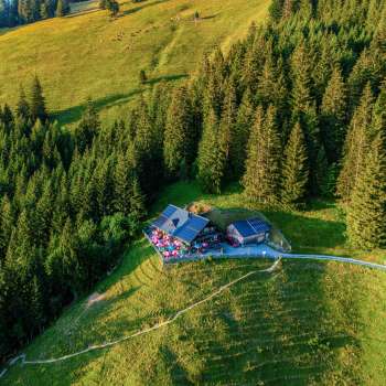 Luftaufnahme der Gafadurahütte: Idyllisch gelegene Gafadurahütte auf einer grünen Almwiese oberhalb von Planken in Liechtenstein.