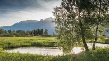Ruhige Wasserlandschaft im Ruggeller Riet mit sanftem Sonnenlicht und Blick auf die Berge im Hintergrund
