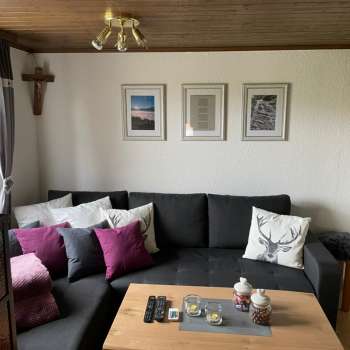 Wohnraum Ferienhaus Kleinsteg 71