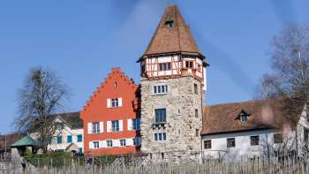 Rotes Haus mit Weinberg im Vordergrund