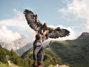 Falkner Norman Vögeli präsentiert einen imposanten Steinadler vor alpiner Bergkulisse – ein beeindruckendes Naturschauspiel in luftiger Höhe.