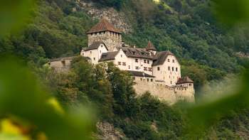 Blick auf Schloss Vaduz durch grünes Blätterdach, eingebettet in die bewaldete Hügellandschaft Liechtensteins.