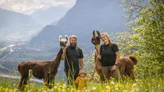 Familie mit Kind und zwei Lamas vor beeindruckender Alpenkulisse bei einer Lama- und Alpakawanderung in Liechtenstein.