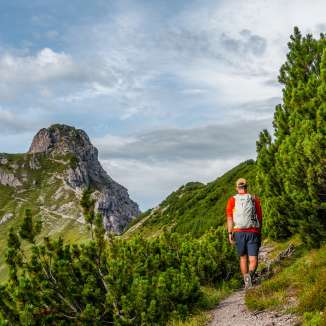 Wanderer auf schmalem Pfad durch Latschenkiefern in Malbun, Liechtenstein mit Blick auf felsige Berggipfel