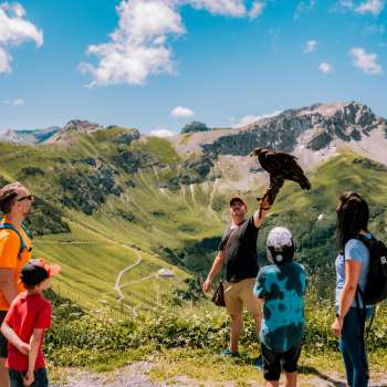 Familie beobachtet Falkner mit Greifvogel