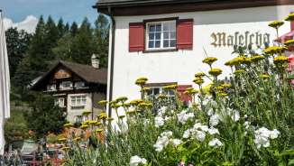 Blumen im Vordergrund vor dem traditionellen Berggasthaus Masescha mit roten Fensterläden in grüner Alpenlandschaft
