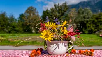 Bunter Blumenstrauß in einer nostalgischen Tasse auf dem Neufeldhof in Liechtenstein – regionale Idylle mit Alpenblick.