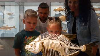Familie betrachtet ein Fischskelett im Liechtensteinischen LandesMuseum