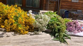 Kräuter auf einem Holztisch