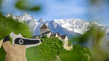 Detektiv-Trail: Auf Schatzsuche in Vaduz mit Blick auf das Schloss Vaduz und weiße Berge