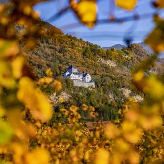 Blick auf Schloss Vaduz in Liechtenstein im Herbst, eingerahmt von goldgelben Blättern und herbstlicher Naturkulisse.