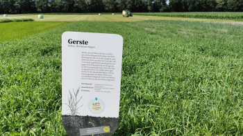 Tafel mit Informationen auf dem Weltacker Balzers mit grünen Feld im Hintergrund
