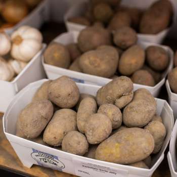 Frisch geerntete Kartoffeln aus eigener Produktion im Hofladen des Neufeldhofs – regional und naturbelassen.