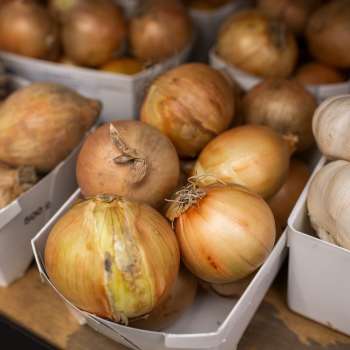 Hausgemachte Zwiebeln und Knoblauch im Hofladen des Neufeldhofs – hochwertige Produkte aus Liechtensteiner Landwirtschaft.
