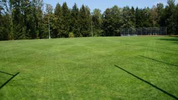 Sportplatz Schellenberg