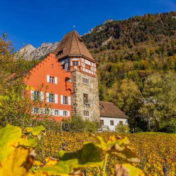 Das Rote Haus in Vaduz umgeben von herbstlichen Weinreben am Hang.