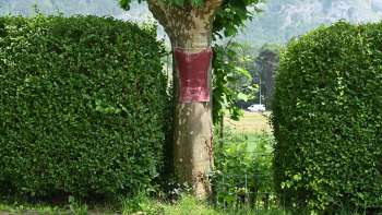 DSC 0249 neu Hanni Schierscher 20250905 crop klein DSC 0249 neu Hanni Schierscher 20250905 crop klein