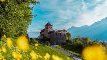 Schloss Vaduz mit gelben Blumen im Vordergrund an einem sonnigen Frühlingstag Schloss Vaduz mit gelben Blumen im Vordergrund an einem sonnigen Frühlingstag