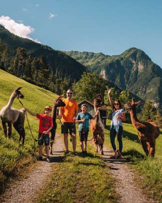 Familienshooting mit Lamas und Alpakas im Sommer Malbun