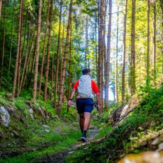 Wanderer auf einem schmalen Pfad durch lichten Nadelwald in Liechtenstein, umgeben von grüner Vegetation und Sonnenlicht