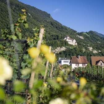 Schloss Vaduz – Sommer