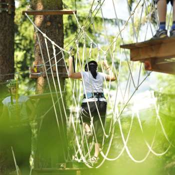 Frau überquert ein Netz im Hochseilgarten, umgeben von dichtem Grün und Sonnenlicht
