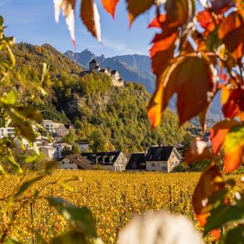 Blick auf das Schloss Vaduz bei herbstlicher Stimmung