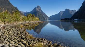 NZ191919 Verbessert RR