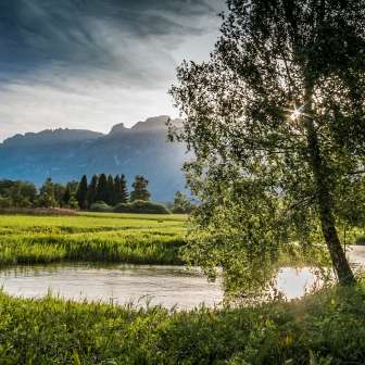 Stimmungsvolles Abendlicht über dem Ruggeller Riet mit Flusslauf, Bäumen und Blick auf das Gebirge im Hintergrund.