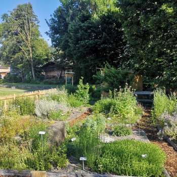lick auf den Kräutergarten in Mauren mit beschrifteten Pflanzenbeeten, blühenden Kräutern und gepflegten Wegen in sommerlicher Umgebung.