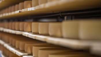 Käse der Kronen Käserei