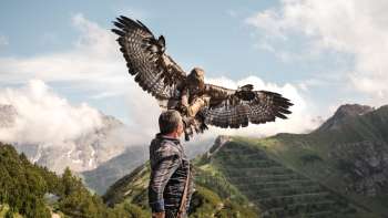  Falkner präsentiert einen majestätischen Adler