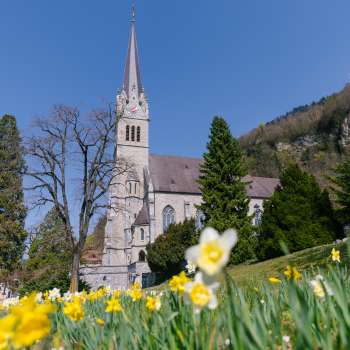 Blumenwiese vor der Kathedrale St. Florin in Vaduz – eindrucksvolle Frühlingsstimmung in Liechtenstein.
