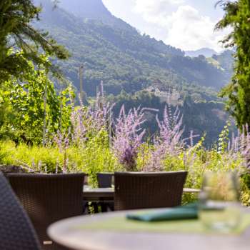 Aussicht auf das Schloss Vaduz