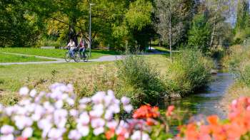 Radfahrer genießen das sonnige Wetter entlang des mit Blumen gesäumten Ufers im Naturpark Haberfeld.