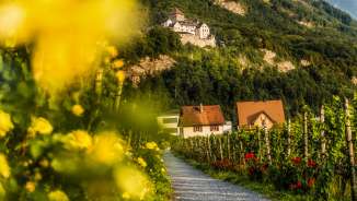 Blick auf Schloss Vaduz vom Weinwanderweg durch die Weinberge mit Blumen, Reben und Häusern in Liechtenstein