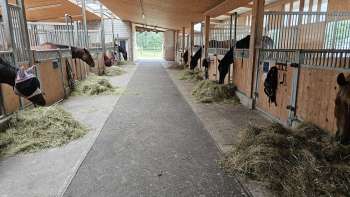 Stall des Neulängenhofs