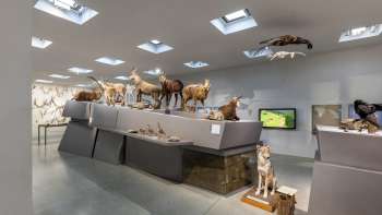  Naturkundliche Ausstellung im Liechtensteinischen LandesMuseum