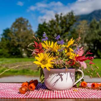 Ein herbstlicher Wildblumenstrauß in einer Emaille-Tasse steht auf einer rot-weiß-karierter Tischdecke, mit Bergen im Hintergrund in Liechtenstein.