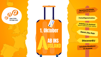 Ab ins Ausland Bild