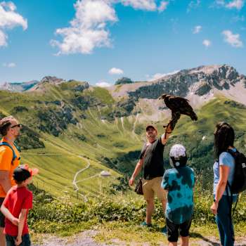 Familie beobachtet Falkner mit Greifvogel bei einer der Adler-Erlebniswanderung