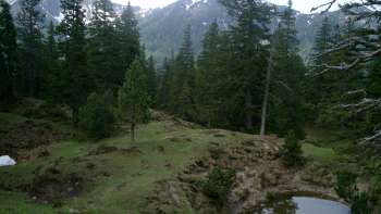 Station 7 Geologiepfad Malbun: Dolinen – Sackungstrichter im Gipsgestein