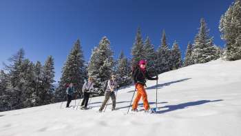 Gruppe von Schneeschuhwanderern bei einem Schnupperkurs in verschneiter Winterlandschaft unter blauem Himmel in Malbun